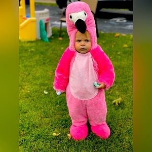 12-18 month flamingo costume